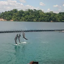 Ocean Adventure - Subic Bay Freeport Zone