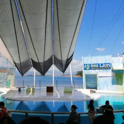 Ocean Adventure - Subic Bay Freeport Zone