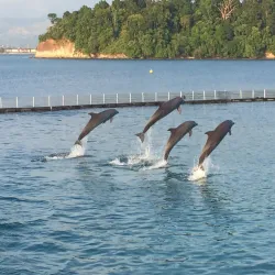 Ocean Adventure - Subic Bay Freeport Zone