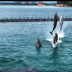Ocean Adventure - Subic Bay Freeport Zone