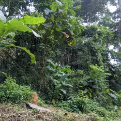 Pamulaklakin Forest Trail - Subic Bay Freeport Zone