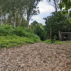 Pamulaklakin Forest Trail - Subic Bay Freeport Zone