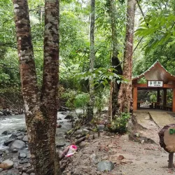 Pamulaklakin Forest Trail - Subic Bay Freeport Zone