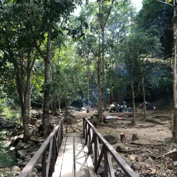 Pamulaklakin Forest Trail - Subic Bay Freeport Zone