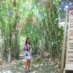 Pamulaklakin Forest Trail - Subic Bay Freeport Zone