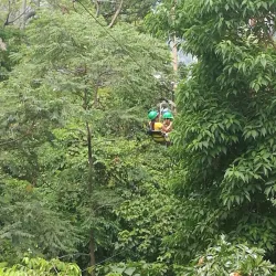 Tree Top Adventure Subic - Subic Bay Freeport Zone