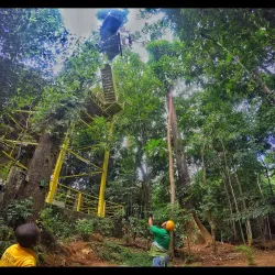 Tree Top Adventure Subic - Subic Bay Freeport Zone