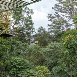 Tree Top Adventure Subic - Subic Bay Freeport Zone