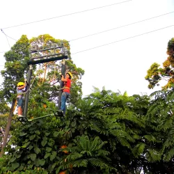 Tree Top Adventure Subic - Subic Bay Freeport Zone