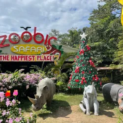 Zoobic Safari - Subic Bay Freeport Zone