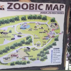 Zoobic Safari - Subic Bay Freeport Zone
