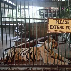 Zoobic Safari - Subic Bay Freeport Zone