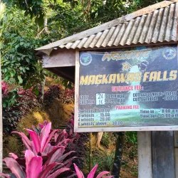 Magkawas Falls - Surigao