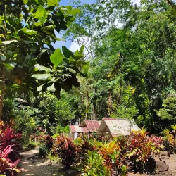 Magkawas Falls - Surigao