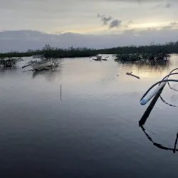 Siargao Island - Surigao