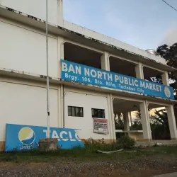 Tacloban Public Market - Tacloban