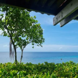 Bohol Bee Farm - Tagbilaran City