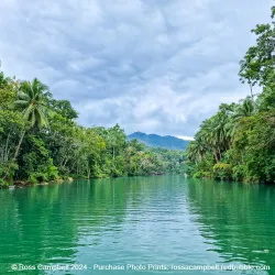 Loboc River Cruise - Tagbilaran City