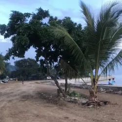 Tagbilaran City Baywalk - Tagbilaran City