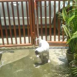 Talisay City Baywalk - Talisay City