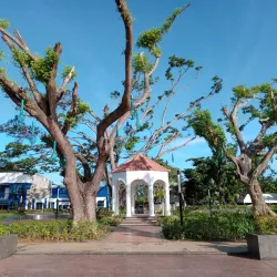 Talisay City Plaza - Talisay City
