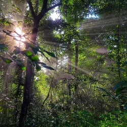 Batlag Falls - Tanay Rizal
