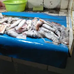 Tandag Public Market - Tandag