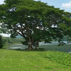 Malubog Lake - Toledo City