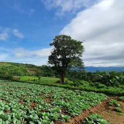 Mount Canlaon Viewpoint - Toledo City