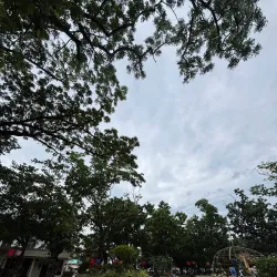 Toledo City Plaza - Toledo City