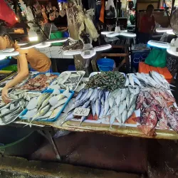 Toledo City Public Market - Toledo City