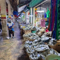 Toledo City Public Market - Toledo City