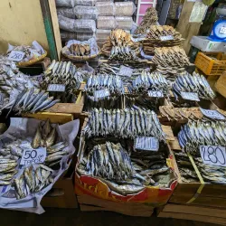 Toledo City Public Market - Toledo City