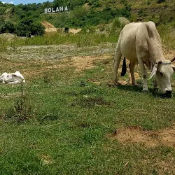 Buntun Bridge - Tuguegarao
