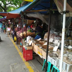 Urdaneta City Public Market - Urdaneta City