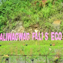 Aliwagwag Falls - Valencia City