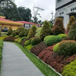 Bukidnon Provincial Capitol - Valencia City