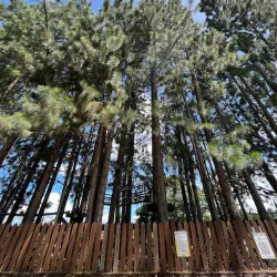 Dahilayan Adventure Park - Valencia City