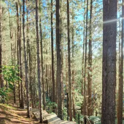 Dahilayan Adventure Park - Valencia City