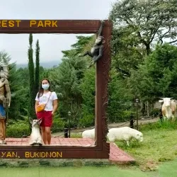 Dahilayan Adventure Park - Valencia City