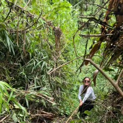 Imbayao Falls - Valencia City
