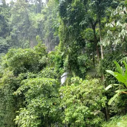 Imbayao Falls - Valencia City