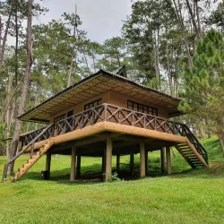 Kaamulan Festival Grounds - Valencia City