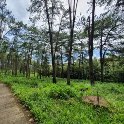 Kaamulan Festival Grounds - Valencia City