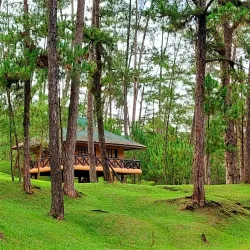 Kaamulan Festival Grounds - Valencia City