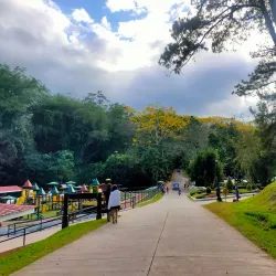 Kaamulan Festival Grounds - Valencia City