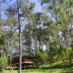 Kaamulan Festival Grounds - Valencia City