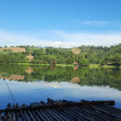 Lake Apo - Valencia City