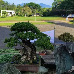 Monastery of Transfiguration - Valencia City