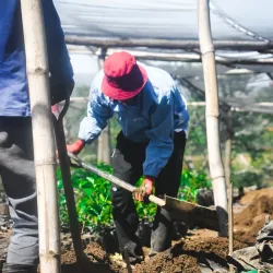 Mount Kalatungan Range Natural Park - Valencia City